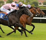 Bewitched at Leopardstown<br>Photo by Racing and Sports